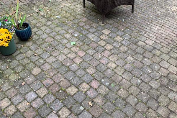 TEGELS VOOR IN DE TUIN GRATIS AF TE HALEN in Woerden Tuin en Terras