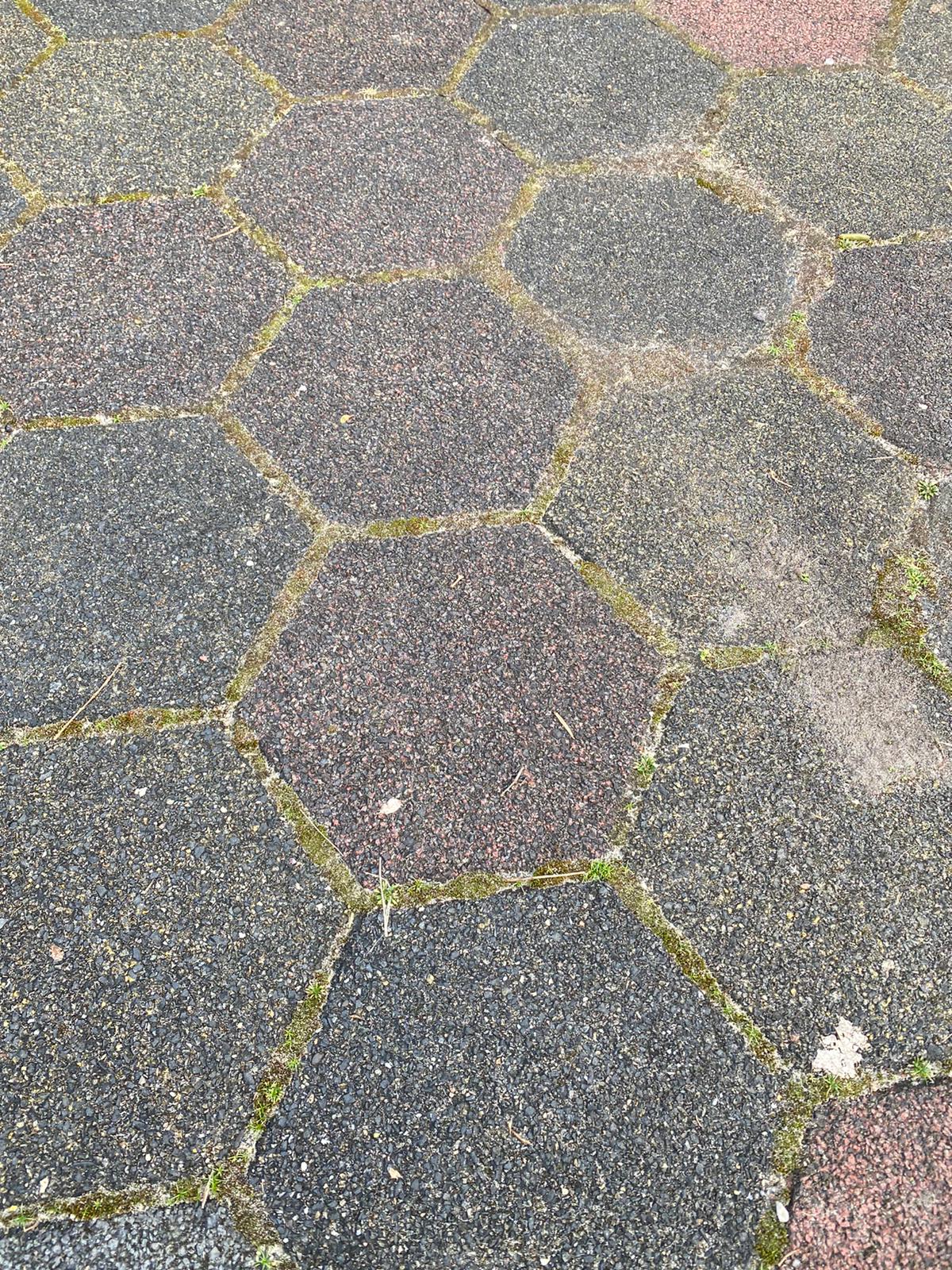 TEGELS TUIN in Zaandam Tuin en Terras, Tegels en Sierbestrating