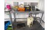 IMG-20260925-WA0006
