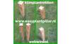 1-Easy-Plant-Pillar-Webwinkel-(1)_637476829482711278