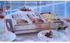 Buffetserver-met-warmhoudplaat