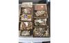 Sigarenbandjes-(3)