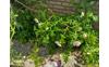 image-16-05-2025_11-44-23-91