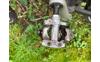 processed-A1F19D45-E70B-44A8-9E5A-1EB0F3665285