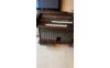 IMG-20191204-WA0003