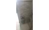 IMG-20260711-WA0002