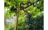 20250815_114231---kopie
