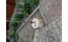 SAM_1770