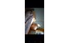 Screenshot_20250504-112715