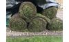 gras_637553953140499979