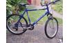 IMG-20241211-WA0000