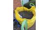 IMG-20261003-WA0006