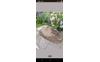 Screenshot_20260609_113930_Marktplaats