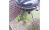 IMG-20250708-WA0013
