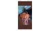 Screenshot_20250811_095229_Marktplaats