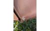PXL_20260529_060750285