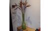 IMG-20250613-WA0000