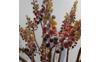 IMG-20250613-WA0001
