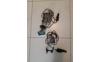 IMG-20250529-WA0003