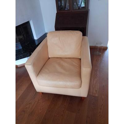 Fauteuils leer 