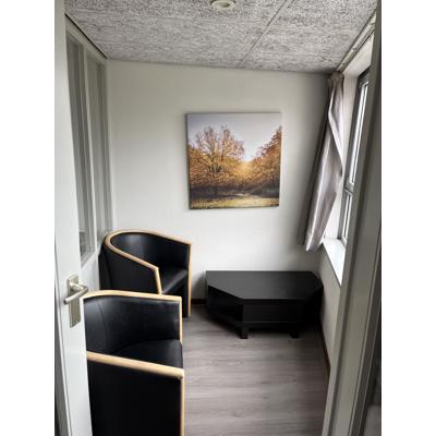 2 zwarte fauteuilstoelen