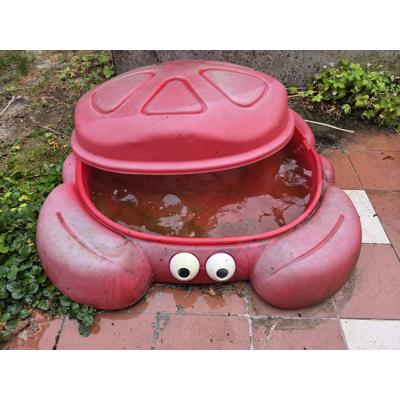 Zandbak krab Step2 Crabbie