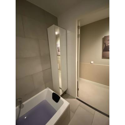 Badkamerkast met spiegelwand