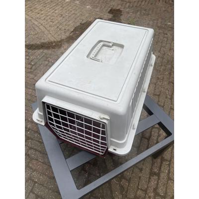 Reismand voor kat. 