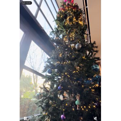 Grote kunstkerstboom, ruim 5 meter