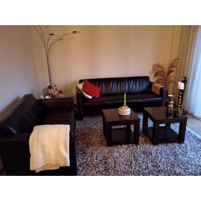 2 zwarte banken, 2 zwarte bijzettafels, grijs hoogpolig tapijt