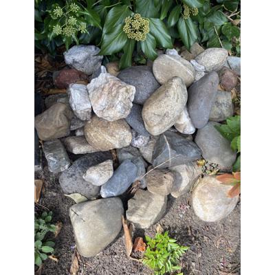 Zo’n 90 à 100 veldkeien in diverse kleuren en grootte. Tussen de 10 en 25 cm