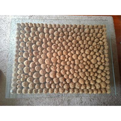 Handgemaakte houten organische salontafel
