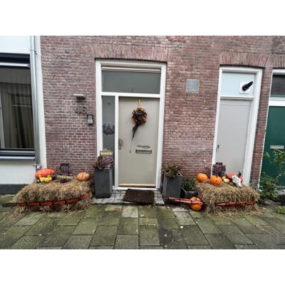 Gratis af te halen 2 hooibalen 100cm bij 60 cm