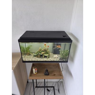 Aquarium
