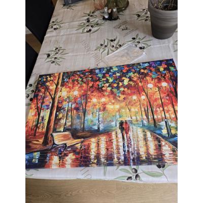 Reproductie 76 x 51 als nieuw