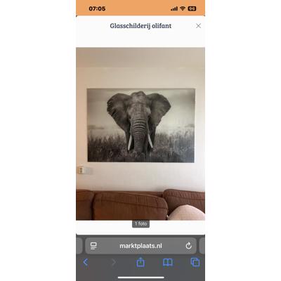 Glasschilderij olifant