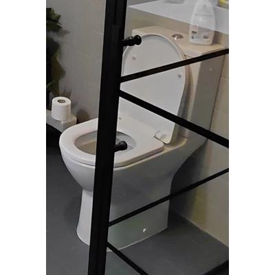 Toilet (duoblok)