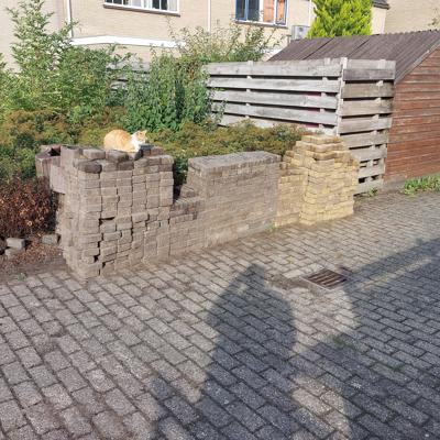 Sierpad moppen 