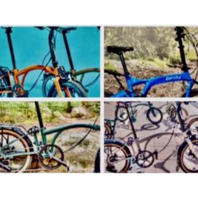 Fietsen voor de Vakantie Camping van Brompton Riese Birdy Müller 