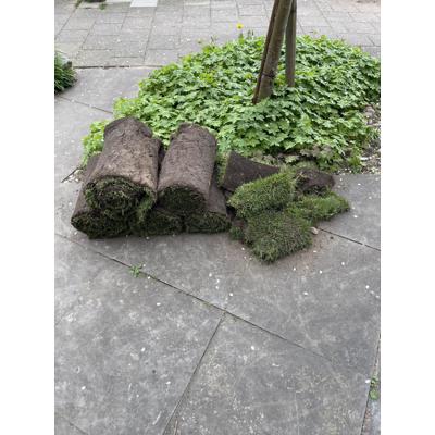 Ongeveer 5 m2 graszoden