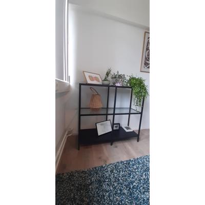 Leuk Kastje zwart met glas