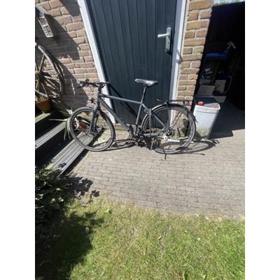 focus fiets met carbon belt