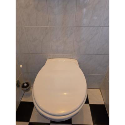 Toilet wit glanzend