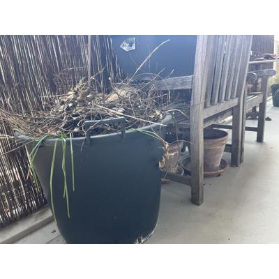 Tuinmeubilair (teak stoelen, potten en klimrekken)