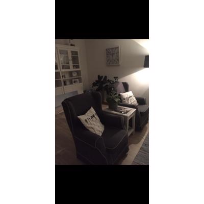 2 luxe stoelen (fauteuils)