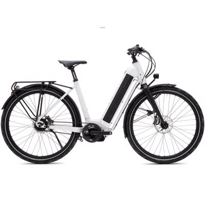 1 of 2 Elektrische Santos Fietsen voor Fietsvakanties 