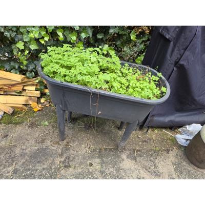 Planten kweekbak op poten incl deksel 