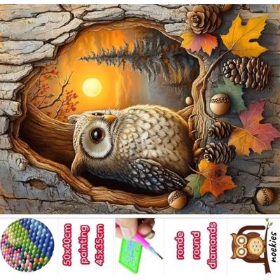 50x40cm Diamond Painting herst Uil (rond) nr 83 
