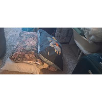 4 gratis kussens ophalen Houtwijk /Dekkershoek /Den -haag .
