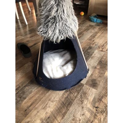 Tipi tent voor kat of kleine hond